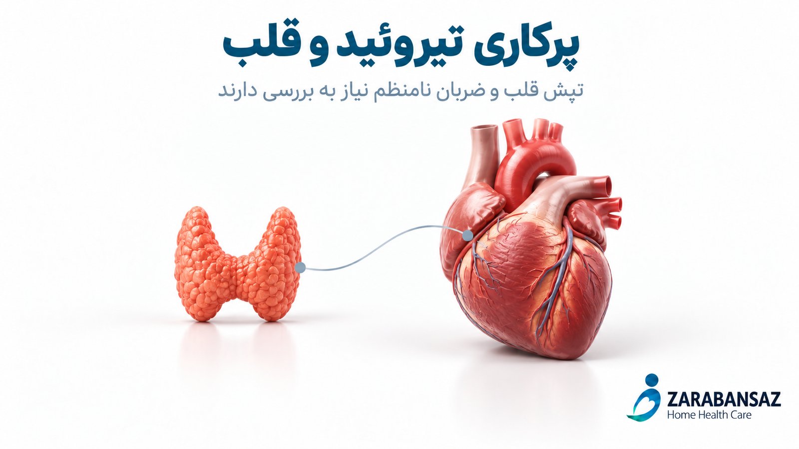 پرکاری تیروئید و ققلب